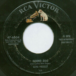 Hound dog