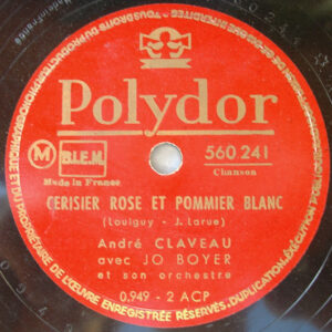 Cerisier rose et pommier blanc