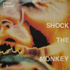 Shock the monkey