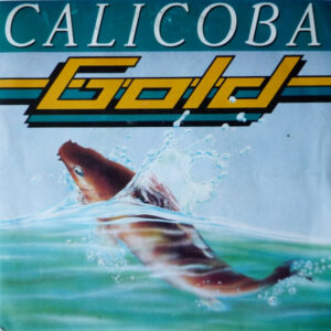 Calicoba